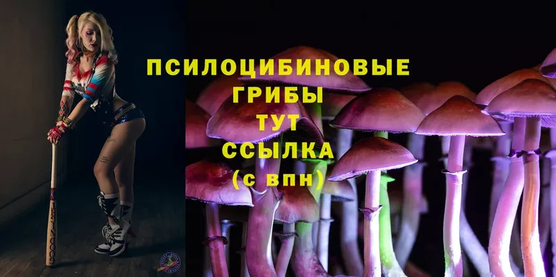 Псилоцибиновые грибы Magic Shrooms  Верхнеуральск 