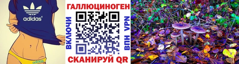 дарнет шоп  Верхнеуральск  Галлюциногенные грибы Magic Shrooms 